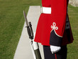 guardsman