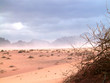 désert de wadi rum, jordanie