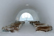 chapel of ice hotel