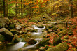mountain river