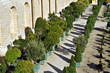 l'orangerie de versailles