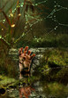 hand in the moors
