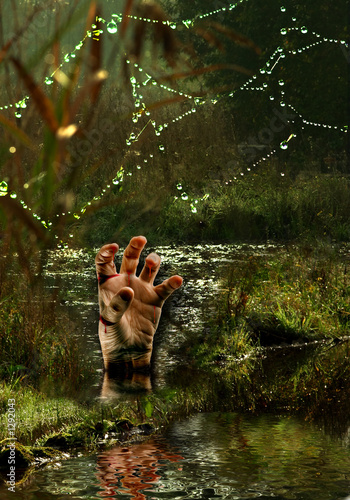 Photo: hand in the moors hand in the moors