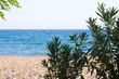 close to sea