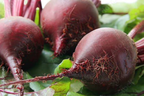 Photo: beet. beet.