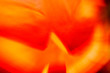 jack-o-lantern