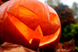 jack-o-lantern