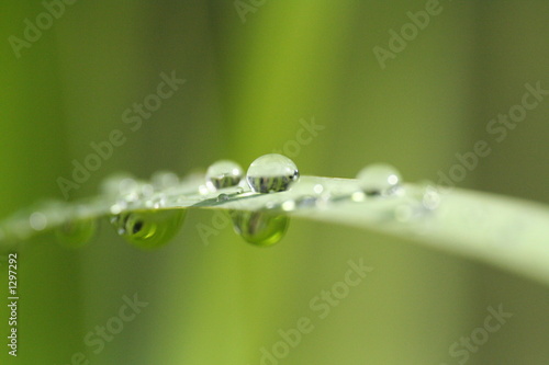 nach dem regen