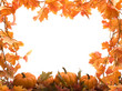pumpkins with fall leaves