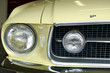 mustang