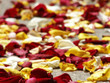 wedding confetti petals background