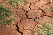 cracked, parched land after a drought