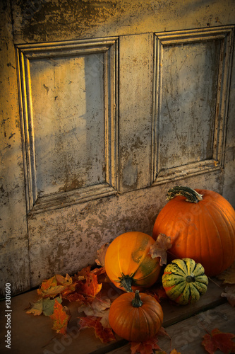 Photo: autumn harvest autumn harvest