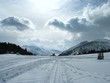 tracks in snow