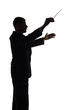 silhouette of conductor