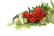 european rowan fruit