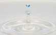 water drops