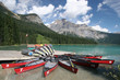 eight red canoes