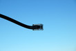 phone cable #2