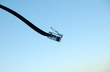 phone cable #3 phone cable #3