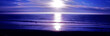 oregon coast panorama