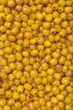 sea-buckthorn