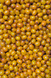 sea-buckthorn