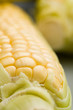 corn on the cob
