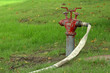 fire hydrant