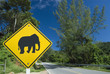 elephant sign