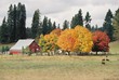 fall in idaho