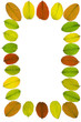 fall background 2