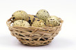 egg egg