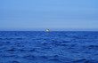 deep blue sea deep blue sea