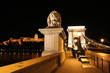 lion over chain bridge