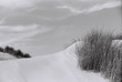 Photo: dune noir et blanc dune noir et blanc