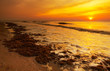 beach in the evening