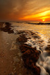 beach in the evening