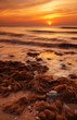 beach in the evening