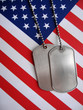4th july dog tags