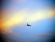 Flugzeug