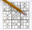 sudoku puzzler