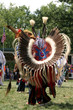 meskwaki powwow - full regalia