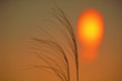 abstract sunset