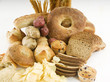 different starchy foods