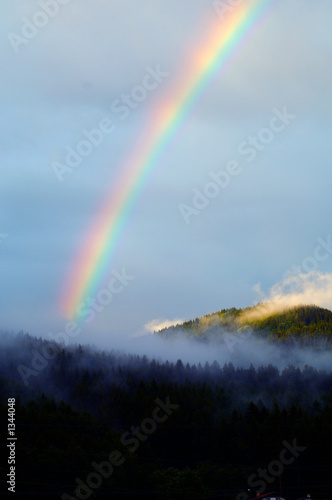 a colourful raibow after summer rain1