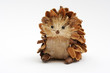 pine cone hedgehog