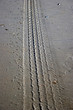 Photo: tire track in the sand tire track in the sand