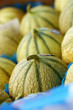 melon