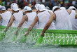 rowers